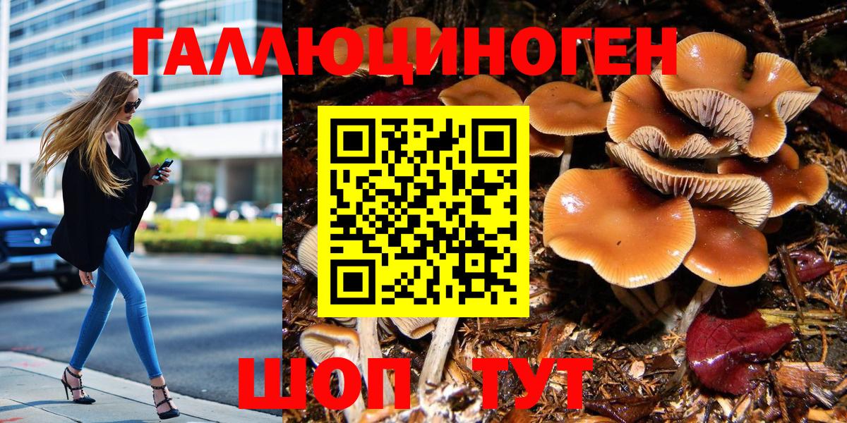 Нерюнгри  Псилоцибиновые грибы Psilocybe  Вход с VPN 