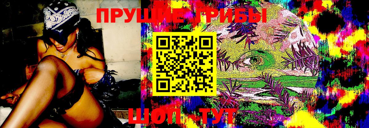 Галлюциногенные грибы Magic Shrooms Нерюнгри